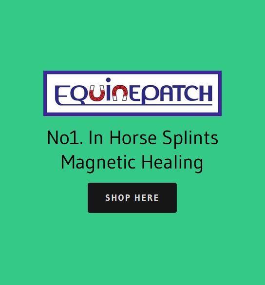 horse splint cure